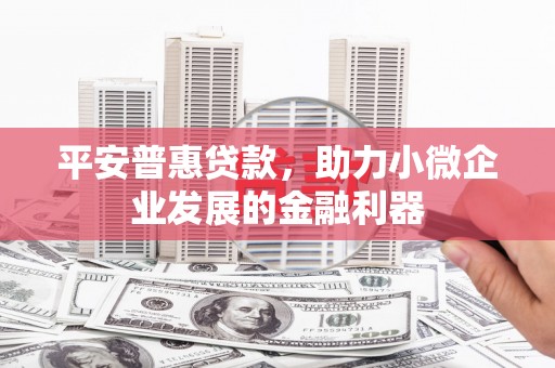 任县平安普惠贷款，助力小微企业发展的金融利器