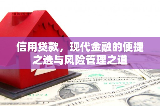 任县信用贷款，现代金融的便捷之选与风险管理之道