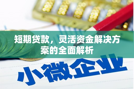 任县短期贷款，灵活资金解决方案的全面解析