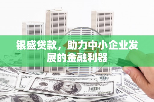 任县银盛贷款，助力中小企业发展的金融利器