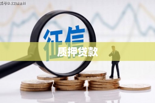 任县质押贷款