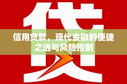 任县信用贷款，现代金融的便捷之选与风险控制