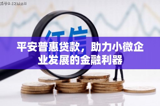 任县平安普惠贷款，助力小微企业发展的金融利器