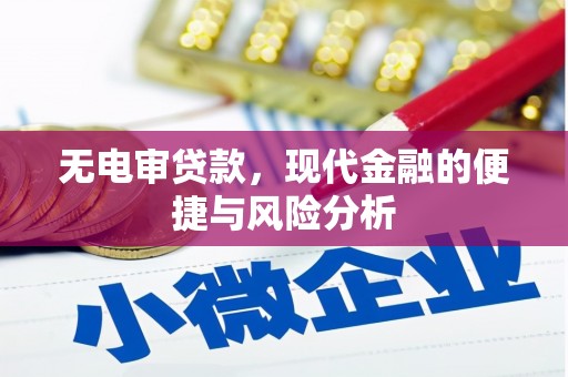 任县无电审贷款，现代金融的便捷与风险分析