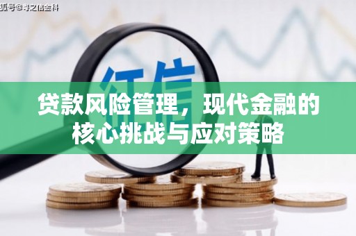 任县贷款风险管理，现代金融的核心挑战与应对策略