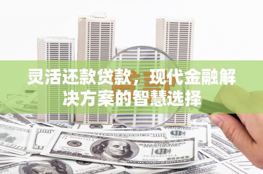 任县灵活还款贷款，现代金融解决方案的智慧选择