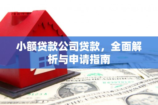 任县小额贷款公司贷款，全面解析与申请指南