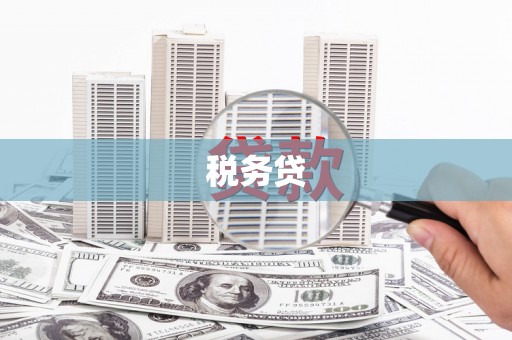 任县税务贷