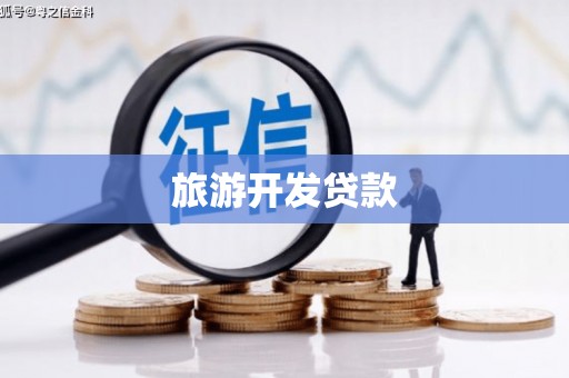 任县旅游开发贷款