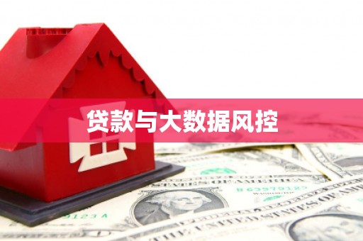 任县贷款与大数据风控