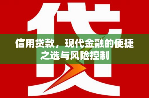 任县信用贷款，现代金融的便捷之选与风险控制