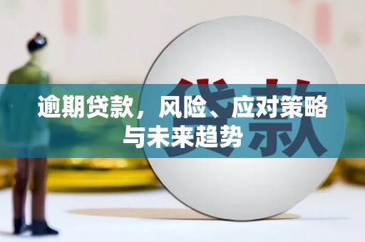 任县逾期贷款，风险、应对策略与未来趋势