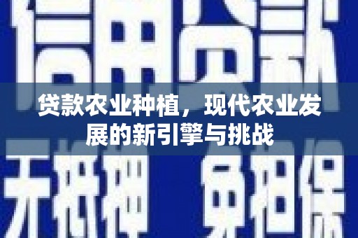 任县贷款农业种植，现代农业发展的新引擎与挑战
