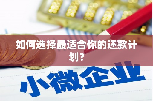任县如何选择最适合你的还款计划？