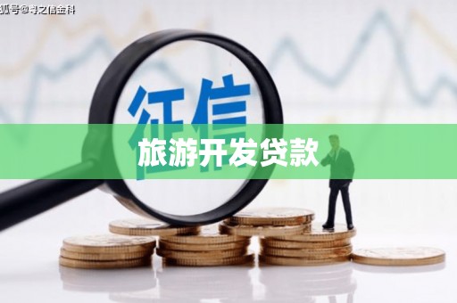 任县旅游开发贷款