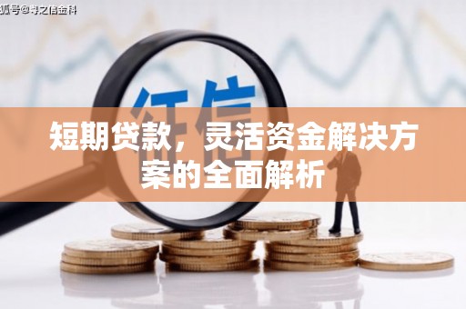 任县短期贷款，灵活资金解决方案的全面解析