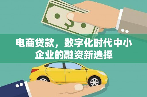 任县电商贷款，数字化时代中小企业的融资新选择