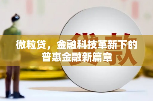 任县微粒贷，金融科技革新下的普惠金融新篇章