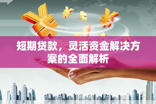 任县短期贷款，灵活资金解决方案的全面解析