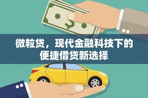任县微粒贷，现代金融科技下的便捷借贷新选择