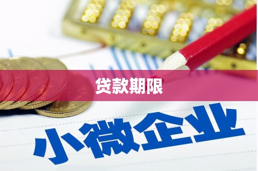 任县贷款期限