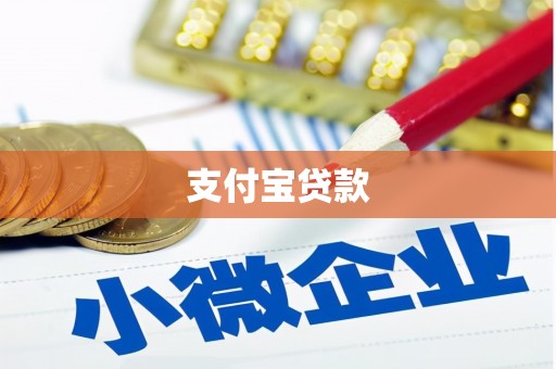 任县支付宝贷款