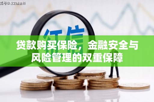 任县贷款购买保险，金融安全与风险管理的双重保障