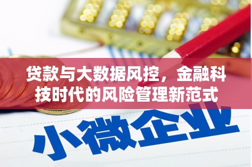 任县贷款与大数据风控，金融科技时代的风险管理新范式