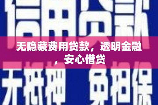 任县无隐藏费用贷款，透明金融，安心借贷