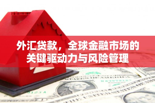 任县外汇贷款，全球金融市场的关键驱动力与风险管理