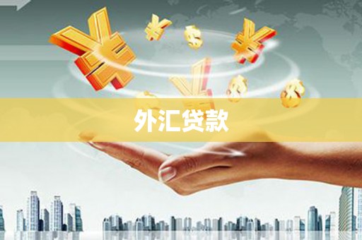 任县外汇贷款