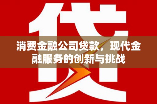 任县消费金融公司贷款，现代金融服务的创新与挑战