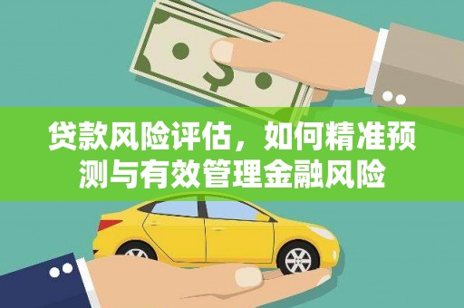 任县贷款风险评估，如何精准预测与有效管理金融风险
