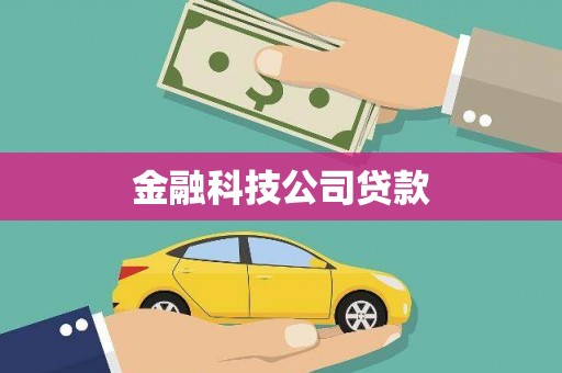 任县金融科技公司贷款