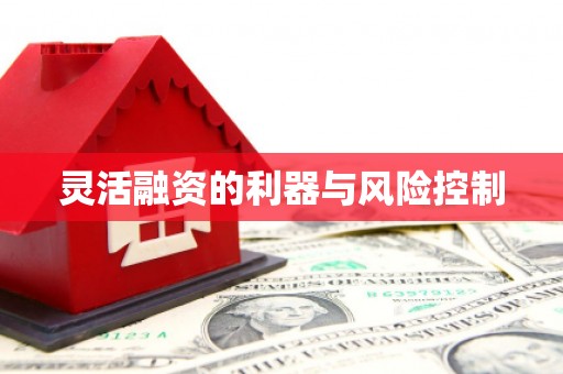 任县灵活融资的利器与风险控制