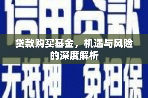 任县贷款购买基金，机遇与风险的深度解析