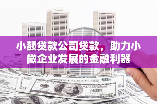 任县小额贷款公司贷款，助力小微企业发展的金融利器