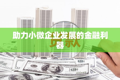 任县助力小微企业发展的金融利器