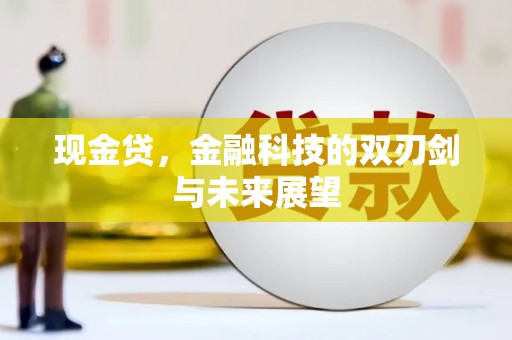 任县现金贷，金融科技的双刃剑与未来展望
