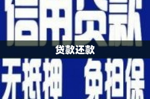 任县贷款还款