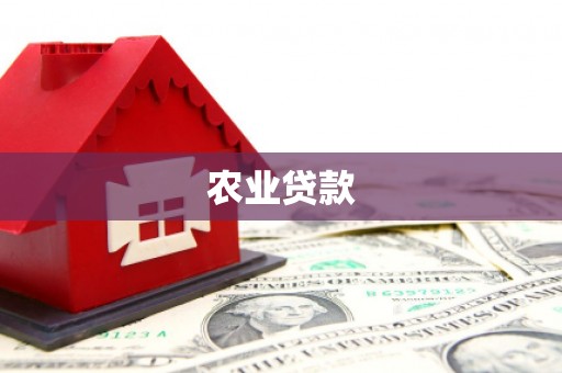 任县农业贷款