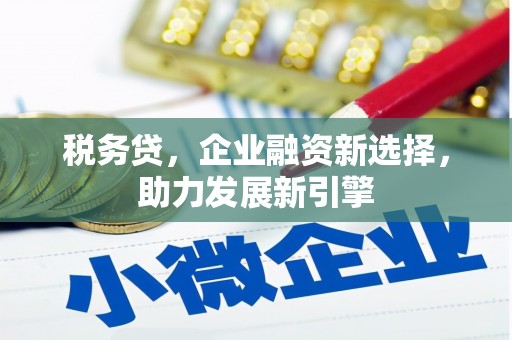 任县税务贷，企业融资新选择，助力发展新引擎