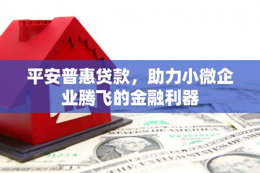 任县平安普惠贷款，助力小微企业腾飞的金融利器