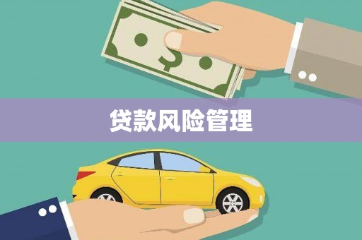 任县贷款风险管理