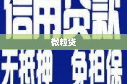 任县微粒贷
