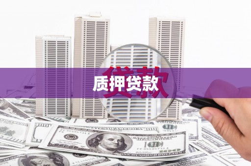 任县质押贷款