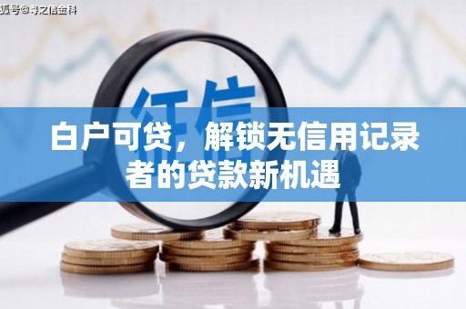 任县白户可贷，解锁无信用记录者的贷款新机遇