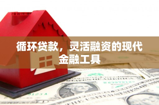 任县循环贷款，灵活融资的现代金融工具