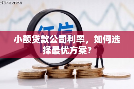 任县小额贷款公司利率，如何选择最优方案？