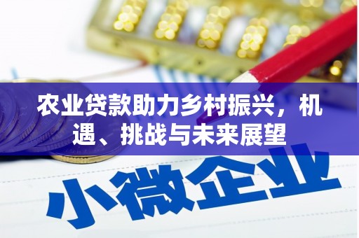 任县农业贷款助力乡村振兴，机遇、挑战与未来展望